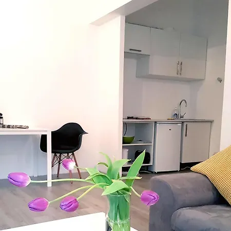 Centre Ville شقة لو مان
